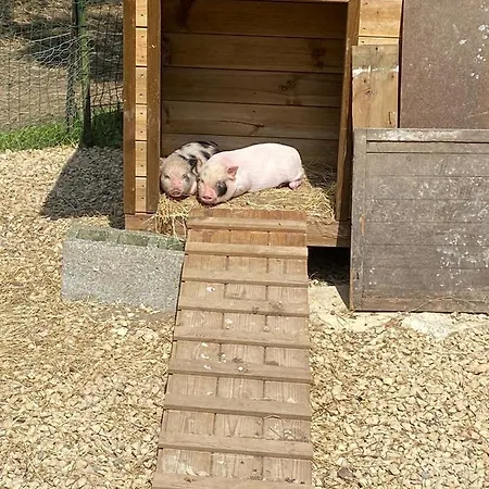Le De Zoelie Сasa de vacaciones Chaineux