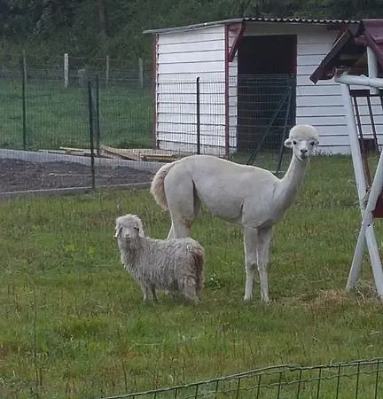 Le De Zoelie Сasa de vacaciones *