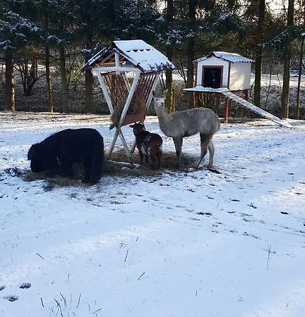 Сasa de vacaciones Le De Zoelie Chaineux