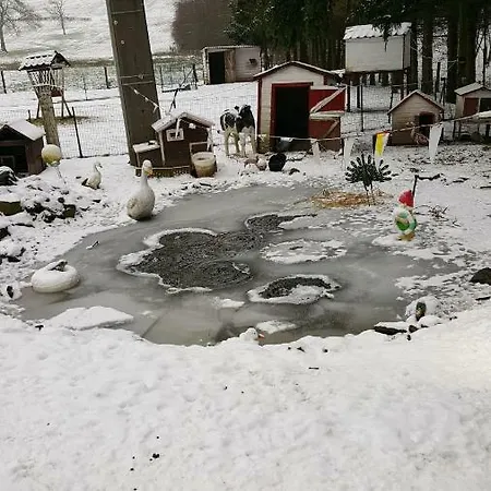 Le De Zoelie Сasa de vacaciones Chaineux