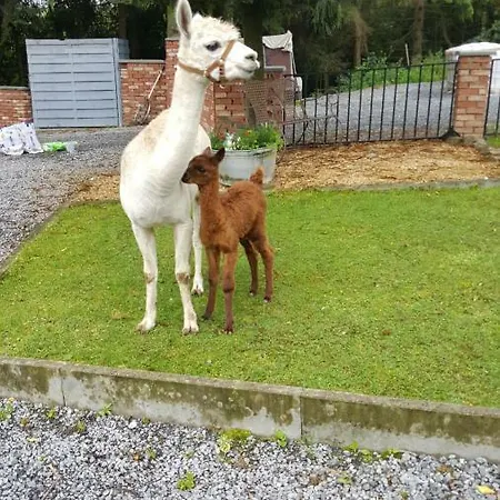 Дом отдыха Le De Zoelie Chaineux